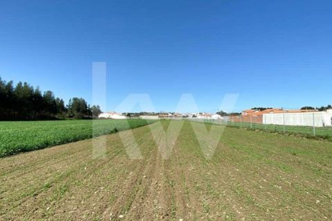 Helårsgrund i Ilhavo, Aveiro, Ilhavo - € 80.000 | Ref: 2198-1770 - foto 20