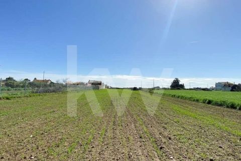 Helårsgrund i Ilhavo, Aveiro, Ilhavo - € 80.000 | Ref: 2198-1770 - foto 21