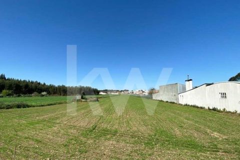 Helårsgrund i Ilhavo, Aveiro, Ilhavo - € 80.000 | Ref: 2198-1770 - foto 23