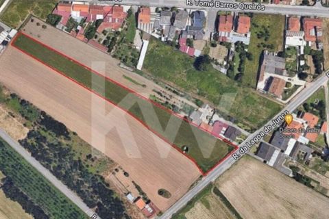 Helårsgrund i Ilhavo, Aveiro, Ilhavo - € 80.000 | Ref: 2198-1770 - foto 24