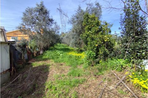Villa a Arrifana, Aveiro, Arrifana - € 39.000 | Ref: KWPT-023762 - foto 14