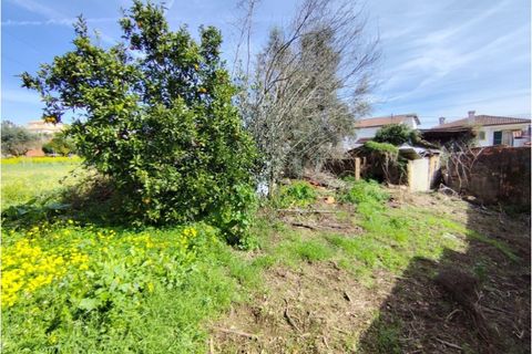 Villa a Arrifana, Aveiro, Arrifana - € 39.000 | Ref: KWPT-023762 - foto 15
