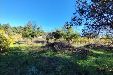 Villa a Arrifana, Aveiro, Arrifana - € 113.000 | Ref: KWPT-024405 - foto 31
