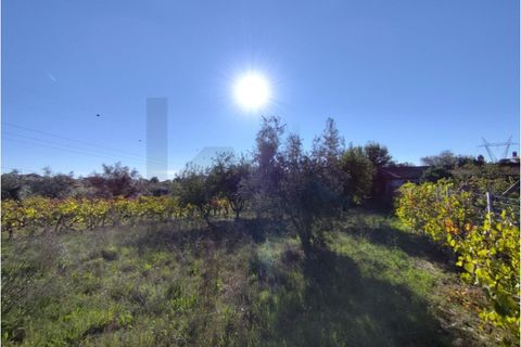 Villa a Arrifana, Aveiro, Arrifana - € 113.000 | Ref: KWPT-024405 - foto 33