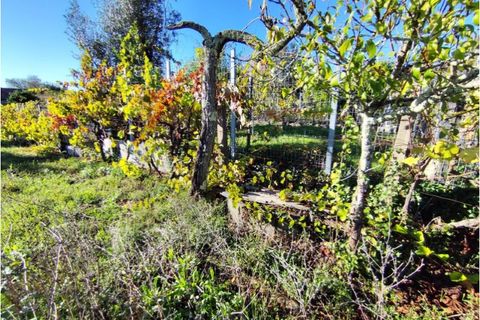 Villa a Arrifana, Aveiro, Arrifana - € 113.000 | Ref: KWPT-024405 - foto 34