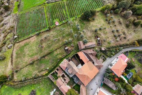 Farm i Satao, Viseu, Satao - € 249.000 | Ref: KWPT-024100 - foto 4