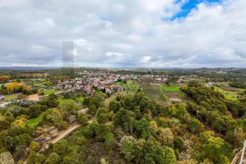 Farm i Satao, Viseu, Satao - € 249.000 | Ref: KWPT-024100 - foto 6