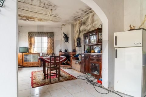 Farm i Satao, Viseu, Satao - € 249.000 | Ref: KWPT-024100 - foto 45