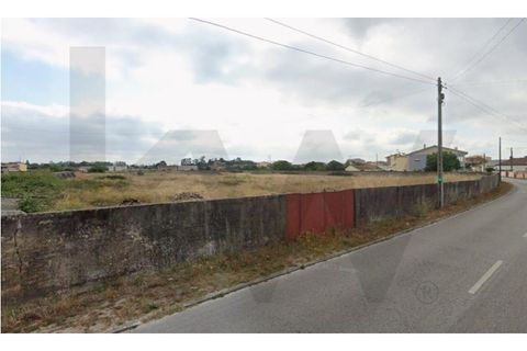 Helårsgrund i Ilhavo, Aveiro, Ilhavo - € 470.000 | Ref: KWPT-024300 - foto 2