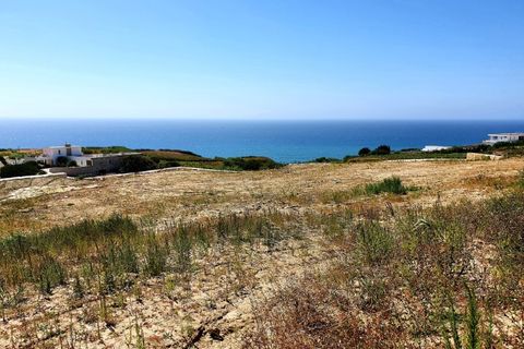 Helårsgrund i Mafra, Lisbon, Mafra - € 2.200.000 | Ref: BL1328 - foto 6