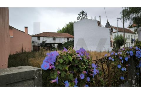 Helårsgrund i Oliveira do Bairro, Aveiro, Oliveira do Bairro - € 116.000 | Ref: KWPT-020243 - foto 1