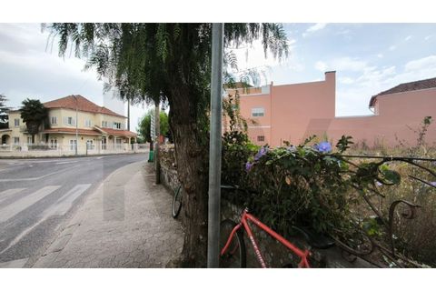 Helårsgrund i Oliveira do Bairro, Aveiro, Oliveira do Bairro - € 116.000 | Ref: KWPT-020243 - foto 4