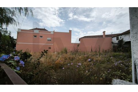 Helårsgrund i Oliveira do Bairro, Aveiro, Oliveira do Bairro - € 116.000 | Ref: KWPT-020243 - foto 5