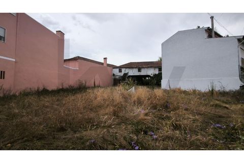 Helårsgrund i Oliveira do Bairro, Aveiro, Oliveira do Bairro - € 116.000 | Ref: KWPT-020243 - foto 7
