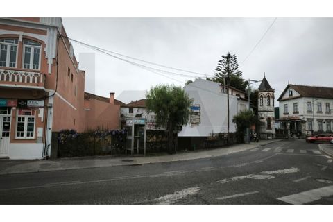 Helårsgrund i Oliveira do Bairro, Aveiro, Oliveira do Bairro - € 116.000 | Ref: KWPT-020243 - foto 18