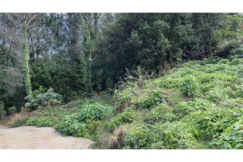 Helårsgrund i Chaves, Vila Real, Chaves - € 90.000 | Ref: 1979 - foto 4