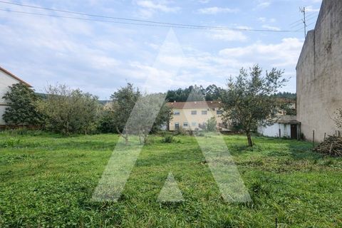Helårsgrund i Ansiao, Leiria, Ansiao - € 55.000 | Ref: 1121210/26CB - foto 5