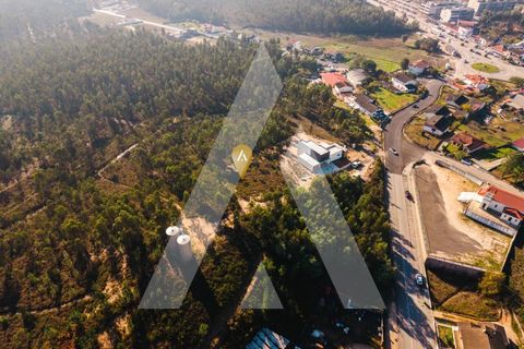 Helårsgrund i Santo Andre, Setubal, Santo Andre - € 47.500 | Ref: 1121202/25CB - foto 6