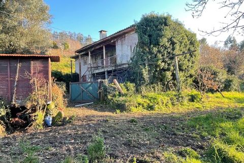 Villa i Ponte da Barca, Viana do Castelo, Ponte da Barca - € 145.000 | Ref: 126371008-90 - foto 5