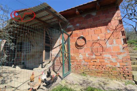 Landejendom i Terranuova Bracciolini, Arezzo, Terranuova Bracciolini - € 65.000 | Ref: 7786 - foto 4
