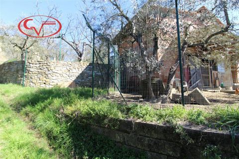 Landejendom i Terranuova Bracciolini, Arezzo, Terranuova Bracciolini - € 65.000 | Ref: 7786 - foto 6