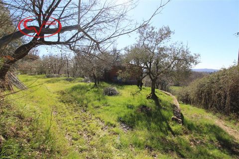 Landejendom i Terranuova Bracciolini, Arezzo, Terranuova Bracciolini - € 65.000 | Ref: 7786 - foto 7