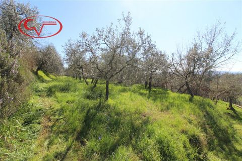 Landejendom i Terranuova Bracciolini, Arezzo, Terranuova Bracciolini - € 65.000 | Ref: 7786 - foto 8