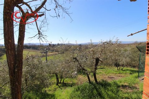 Landejendom i Terranuova Bracciolini, Arezzo, Terranuova Bracciolini - € 65.000 | Ref: 7786 - foto 9