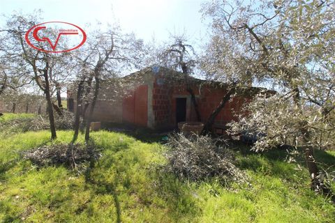 Landejendom i Terranuova Bracciolini, Arezzo, Terranuova Bracciolini - € 65.000 | Ref: 7786 - foto 10