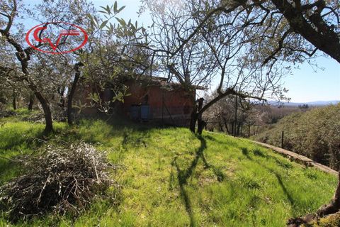 Landejendom i Terranuova Bracciolini, Arezzo, Terranuova Bracciolini - € 65.000 | Ref: 7786 - foto 11
