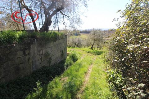 Landejendom i Terranuova Bracciolini, Arezzo, Terranuova Bracciolini - € 65.000 | Ref: 7786 - foto 12
