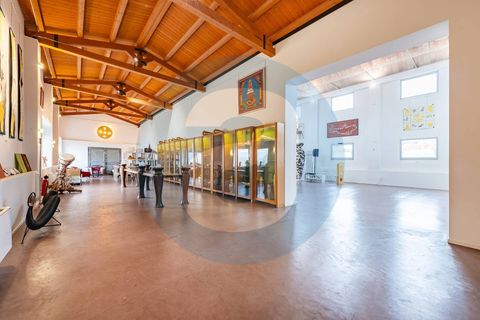 Erhvervsejendom i Bari, Bari, Bari - € 1.600.000 | Ref: Complesso_polifunzionale_Mungivacca - foto 9
