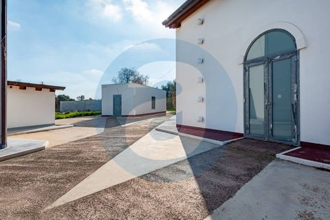 Erhvervsejendom i Bari, Bari, Bari - € 1.600.000 | Ref: Complesso_polifunzionale_Mungivacca - foto 13