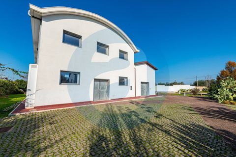 Erhvervsejendom i Bari, Bari, Bari - € 1.600.000 | Ref: Complesso_polifunzionale_Mungivacca - foto 14
