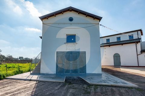 Erhvervsejendom i Bari, Bari, Bari - € 1.600.000 | Ref: Complesso_polifunzionale_Mungivacca - foto 18