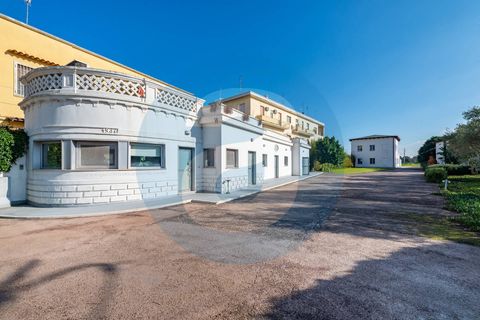 Erhvervsejendom i Bari, Bari, Bari - € 1.600.000 | Ref: Complesso_polifunzionale_Mungivacca - foto 41