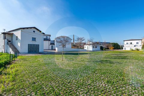 Erhvervsejendom i Bari, Bari, Bari - € 1.600.000 | Ref: Complesso_polifunzionale_Mungivacca - foto 44