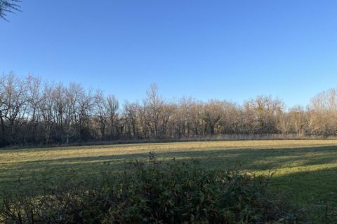 Landejendom i Gaillac, Tarn, Gaillac - € 330.000 | Ref: AJ4631 - foto 18