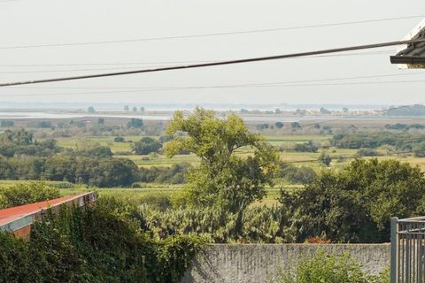 Villa a Estarreja, Aveiro, Estarreja - € 395.000 | Ref: HAB_53666 - foto 15