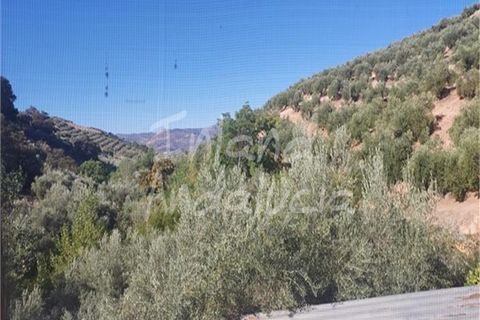 Cortijo i Iznajar, Cordoba, Iznajar - € 170.000 | Ref: CJ929 - foto 13