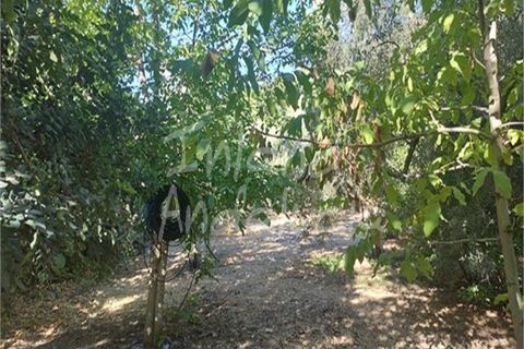 Cortijo i Iznajar, Cordoba, Iznajar - € 170.000 | Ref: CJ929 - foto 16