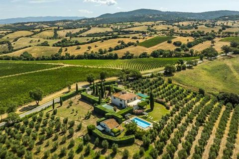 Farm hus i Scansano, Grosseto, Scansano - € 1.980.000 | Ref: a1190ta69585 - foto 3