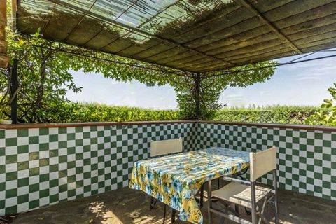 Farm hus i Scansano, Grosseto, Scansano - € 1.980.000 | Ref: a1190ta69585 - foto 7