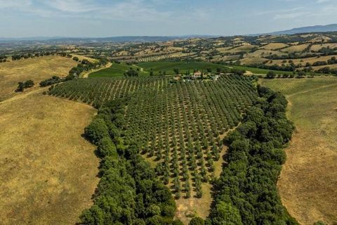 Farm hus i Scansano, Grosseto, Scansano - € 1.980.000 | Ref: a1190ta69585 - foto 15