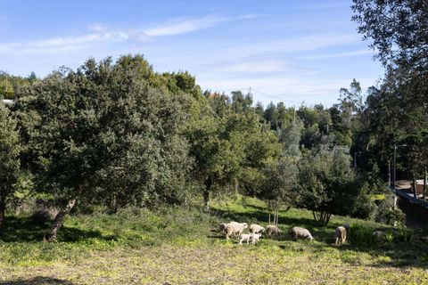Villa a Sintra, Lisbon, Sintra - € 830.000 | Ref: CB01-0771 - foto 3