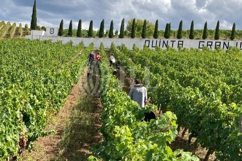 Helårsgrund i Alijo, Vila Real, Alijo - € 1.100.000 | Ref: 91498 - foto 1