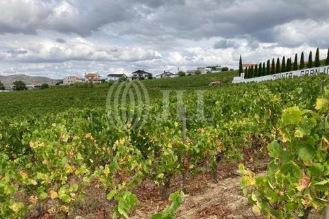 Helårsgrund i Alijo, Vila Real, Alijo - € 1.100.000 | Ref: 91498 - foto 20