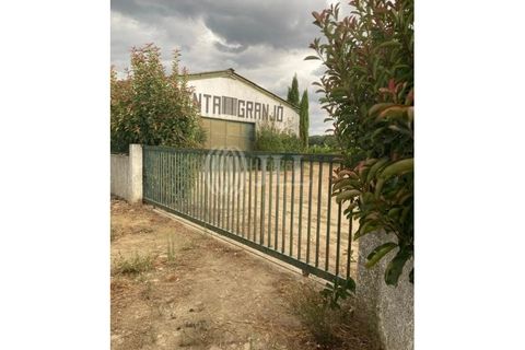 Helårsgrund i Alijo, Vila Real, Alijo - € 1.100.000 | Ref: 91498 - foto 22