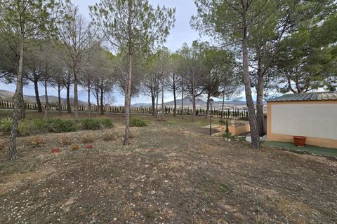 Herregård i Salinas, Alicante, Salinas - € 470 000 | Ref: IVD13855 - foto 21