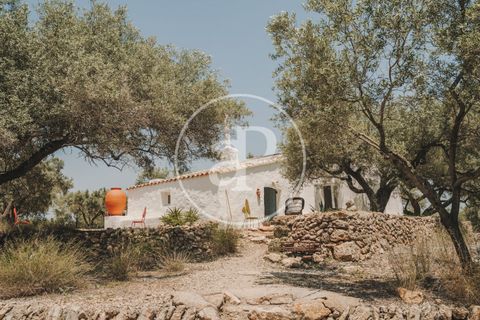 Villa i Camarles, Tarragona, Camarles - € 350.000 | Ref: VBG2601003 - foto 1